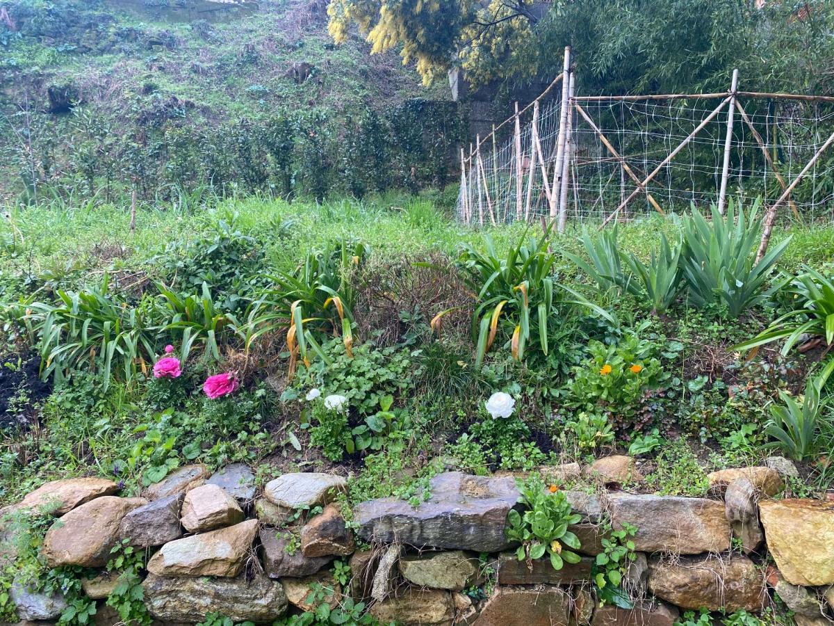 Dolce Vita In Tuscany B&B Capannori Exterior foto